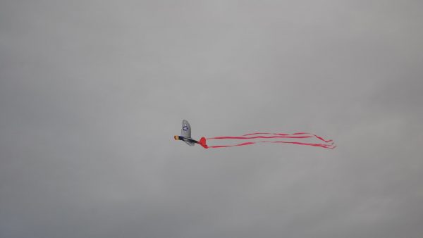 Esencia vainilla sin azucar