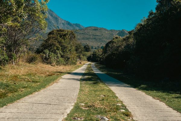 2. Ingredientes principales de la creación de Nocciolata: una mirada detallada