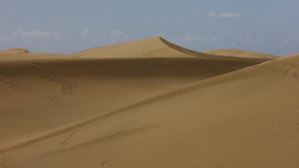 Alubia amarilla canaria recetas