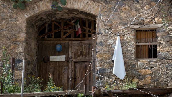 Miel de aguacate propiedades