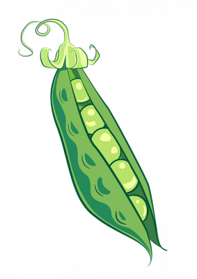 Enfermedades del guisante