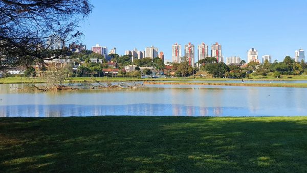 Levadura nutricional ecologica