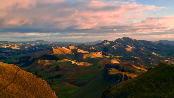 Jengibre con te matcha