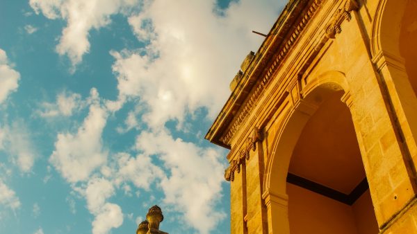 Trompetilla de la muerte