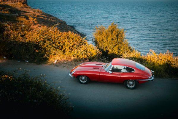 Grasa serie temporada 2