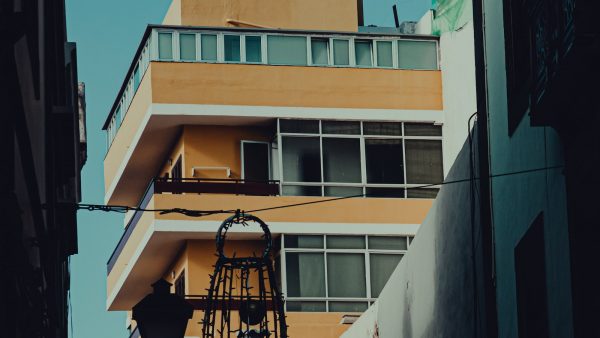 Clavo de olor para la cara