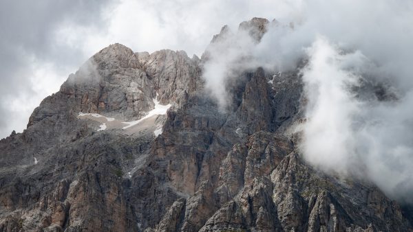 1. ¿Qué es el Te kukicha?