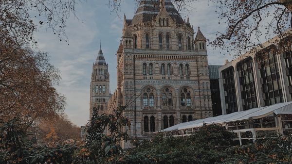 Marcas de miel 100 natural