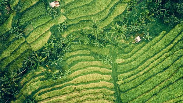 Integrales propiedades