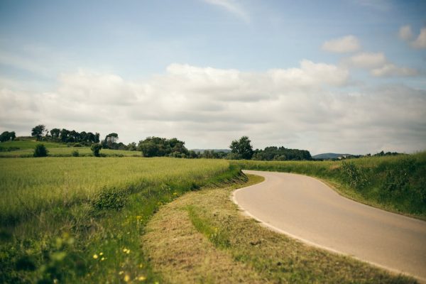 Fuente de la amapola