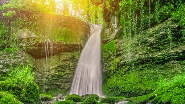 Mousse de turrón 2 ingredientes