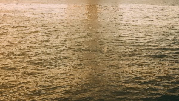 3. ¿Cómo funciona Techai? Etapas y procesos de la plataforma