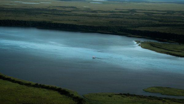 Rollos salmon ahumado