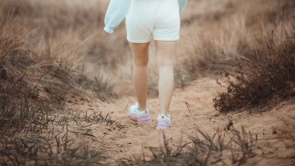 Aloe vera deshidratado propiedades