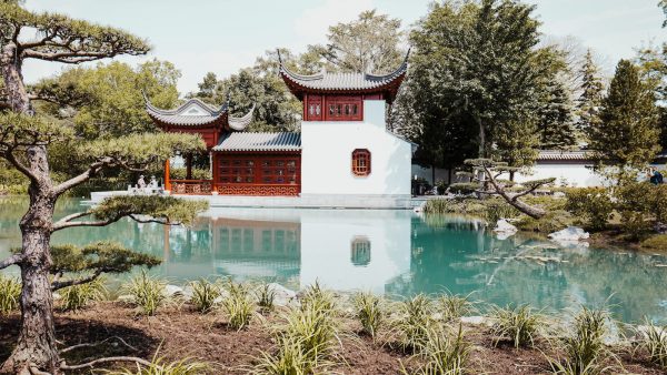 Salsa de soja sin azúcar