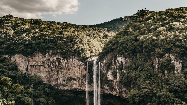Galletas con azucar y canela
