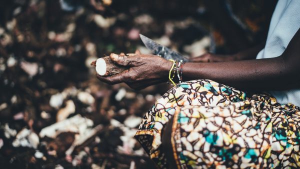 Fecula de la mandioca