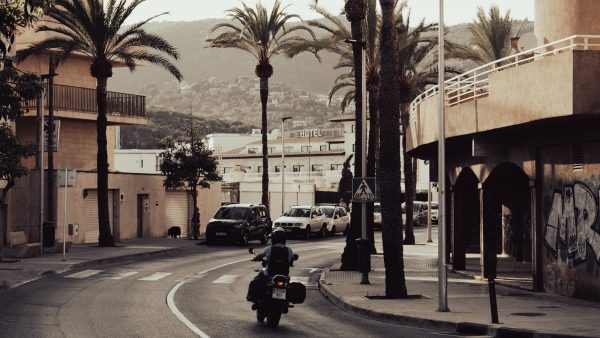 Aceite de coco y fenogreco