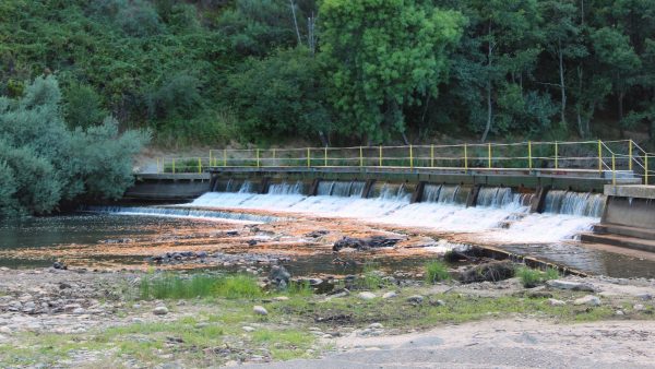 Como hacer el roscon de reyes en casa