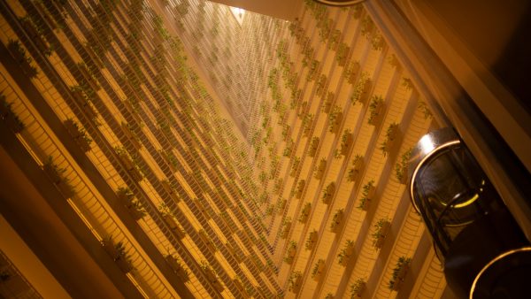 Receta pan naan queso