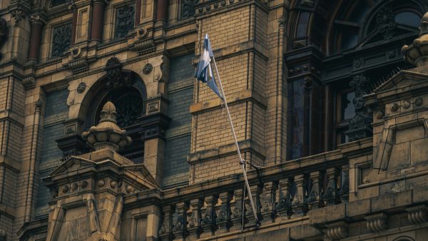 2. Historia y origen del Mejorano: Un repaso por sus orígenes