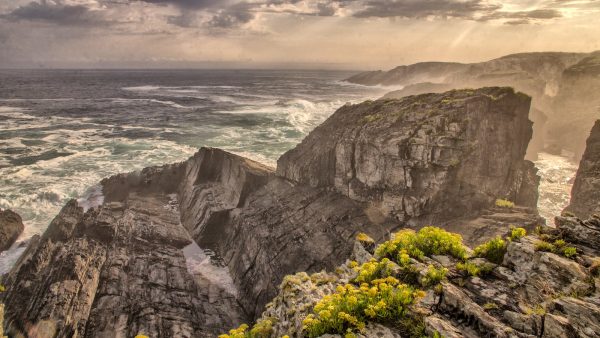 Indice glucemico arroz blanco