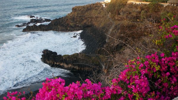 Guisantes a la catalana
