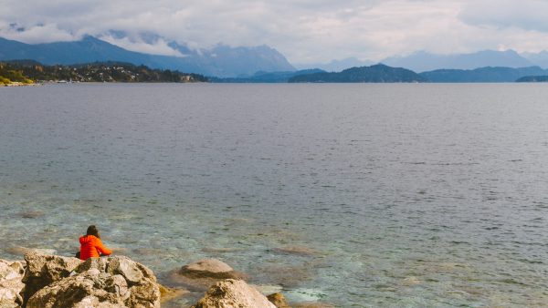 Harina de maiz ecologica