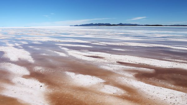 Hornear roscon de reyes