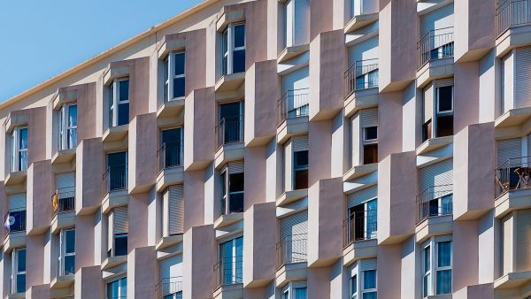 Higos secos enharinados