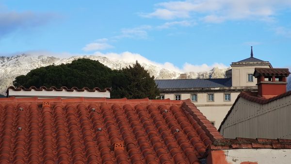 Harina de fuerza integral