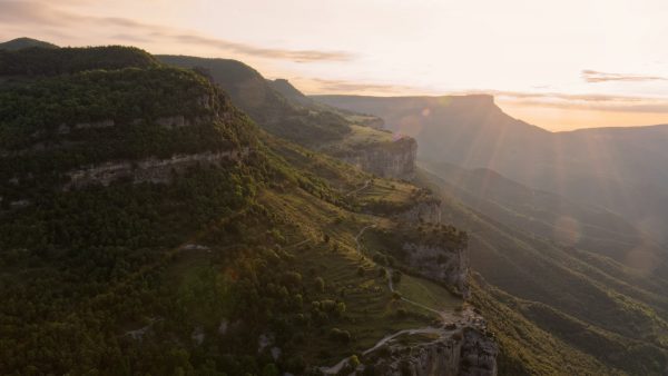 Bonaris semillas y especias