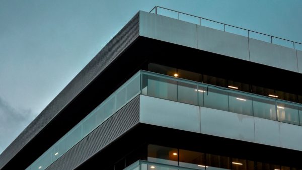 Como preparar la tapioca blanca