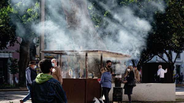 Las castañas cocidas estriñen