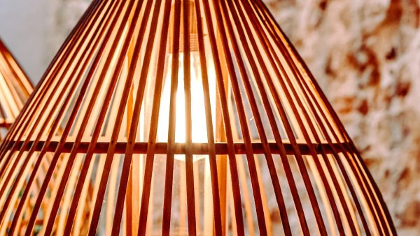 Garbanzo vegetariano