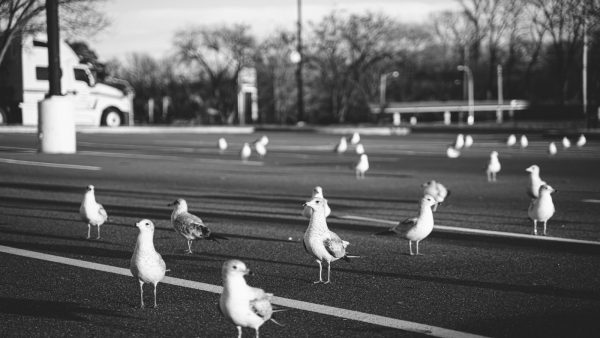 Crema de cacahuete saludable