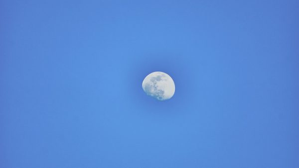 Condimento que da color amarillo al arroz