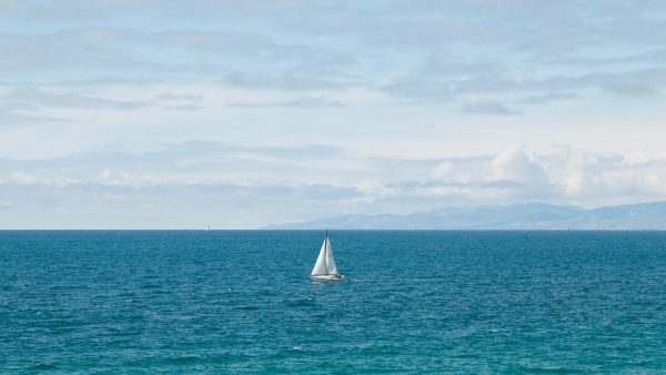 Arroz redondo tiempo de cocción