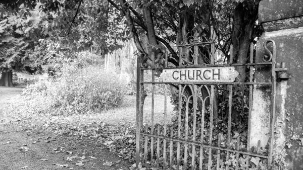 Vegetarianos y veganos