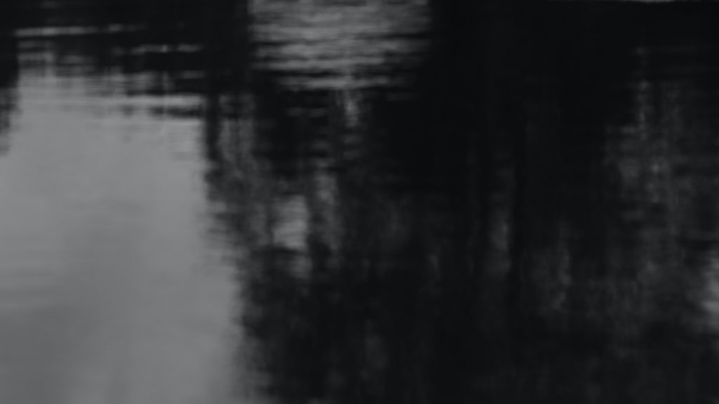 Sustituir vinagre de arroz