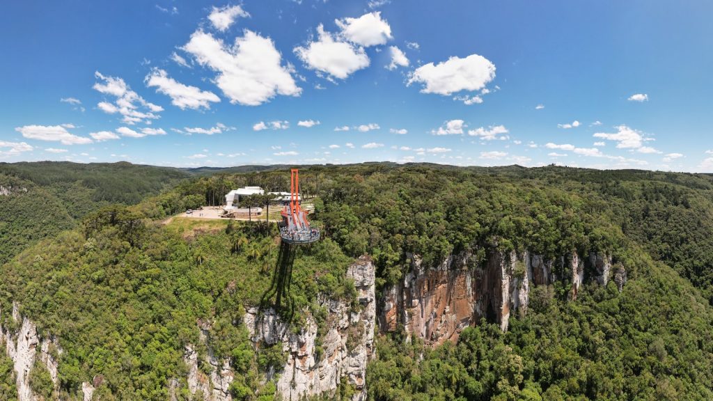 Canela de donde proviene