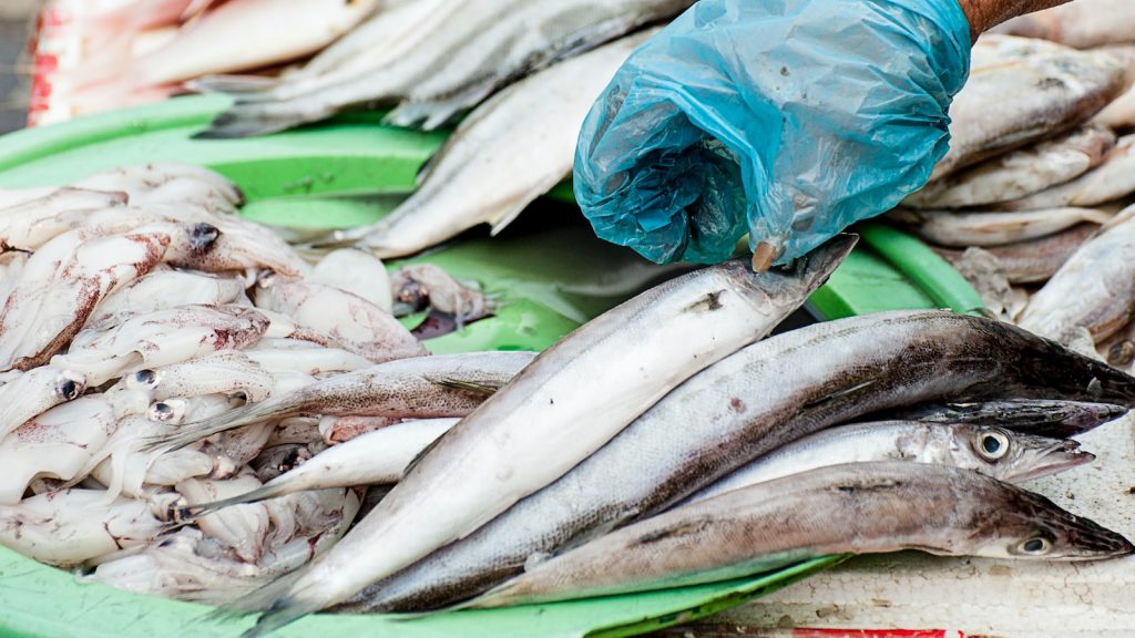 Rollo de salmon ahumado y aguacate