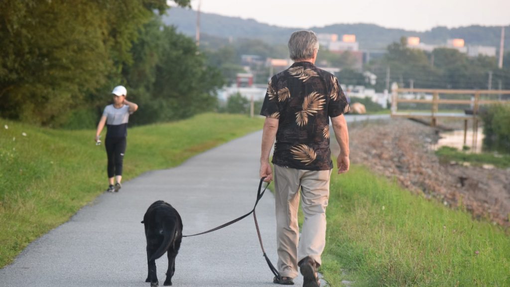 Como hacer harina de arroz glutinoso