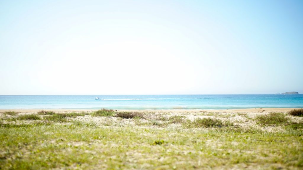 Durra