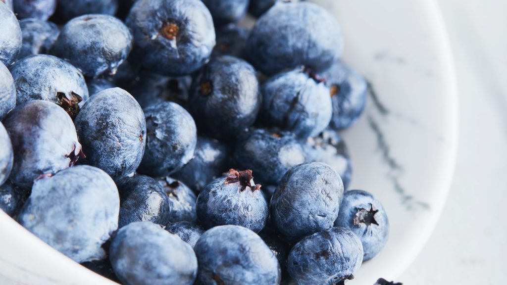Arandanos deshidratados propiedades