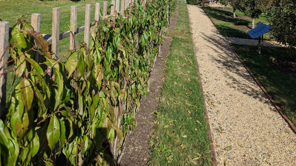 Xocolata de cobertura