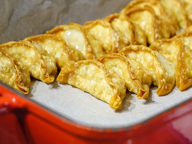 Gyoza carne
