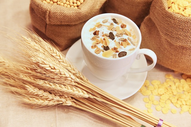 Copos de avena finos