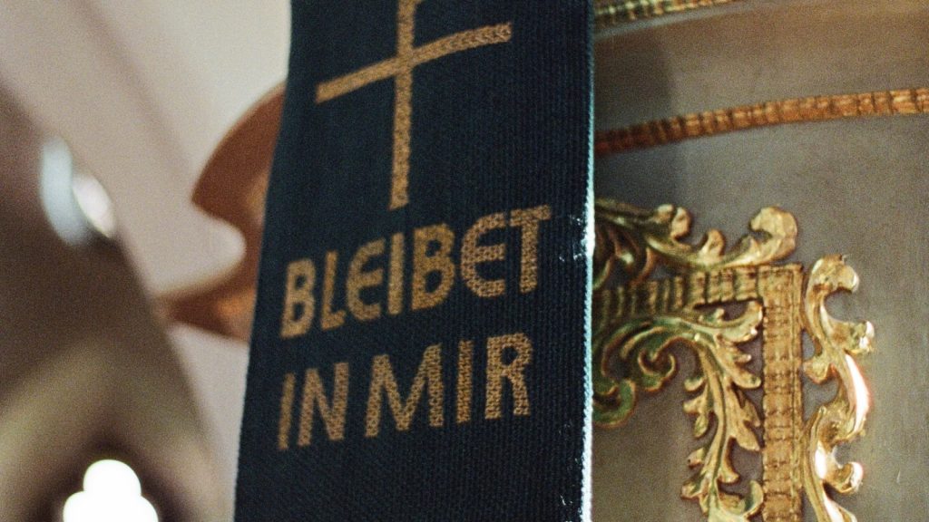 Anacardos tostados sin sal