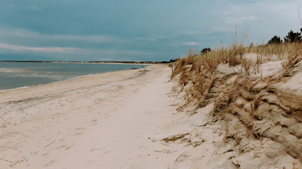 Se puede rebozar con harina de fuerza